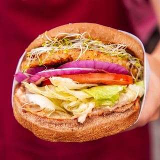 Garden Burger - O